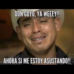 Meet your Posher, Rodrigo